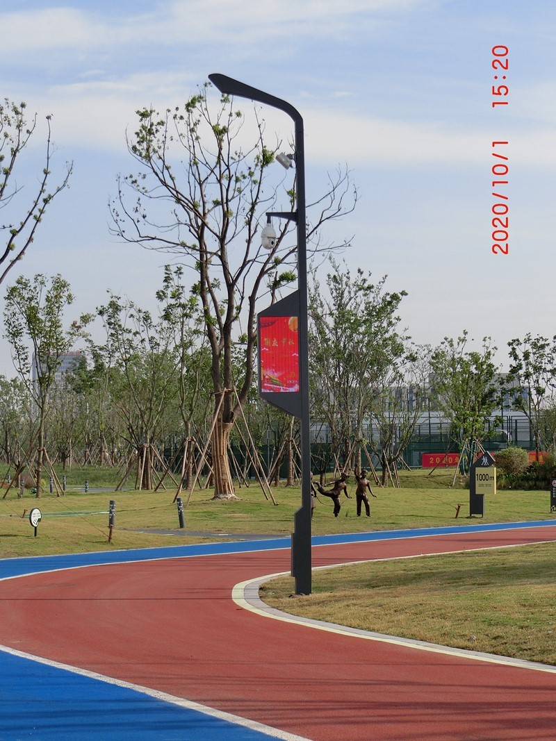 鹽龍?bào)w育公園智慧路燈